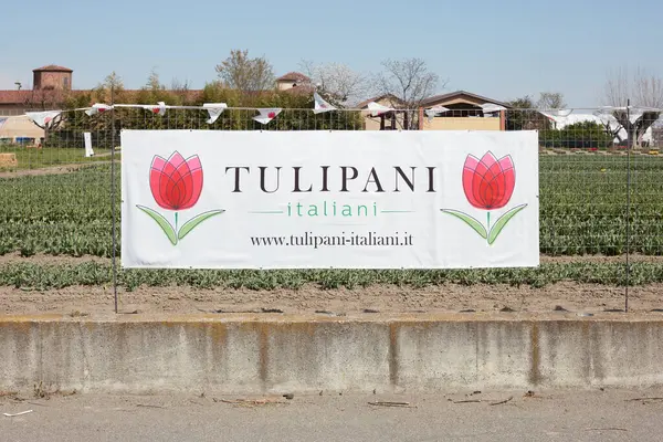Turin Italia Maaliskuu 2023 Tulipani Italiani Näyttelykyltti Värikkäät Tulppaanikukat Pellot — kuvapankkivalokuva