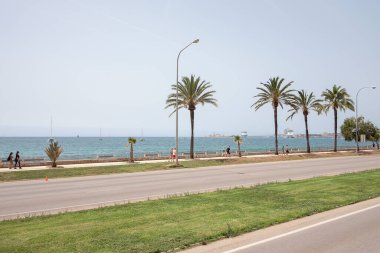 Palma de Mallorca, Balearic Adaları, İspanya - 28 Haziran 2024: Akdeniz kıyısına bakan yüksek palmiye ağaçları ile sıralanmış deniz kenarında boş boş gezinen turistlerin sokak manzarası