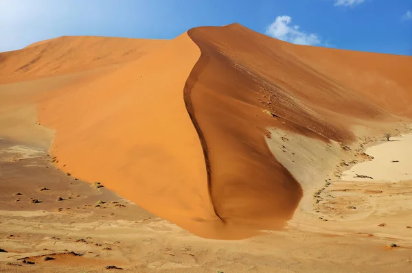 Namib Çölünde Kum Tepeleri Tuz — Stok fotoğraf