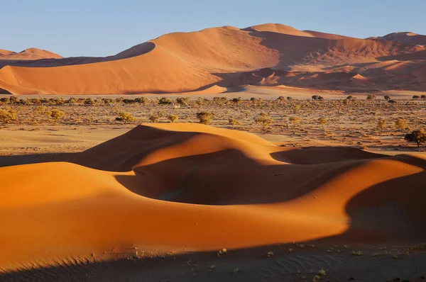 Safari camp in the Namib desert
