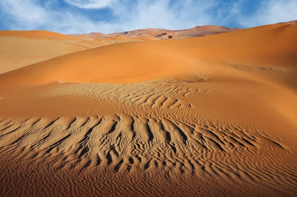 Zout Het Zand Namibische Woestijn — Stockfoto