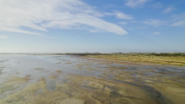 공중에서 네덜란드 West Terschelling Aerial View Wadden Sea — 비디오