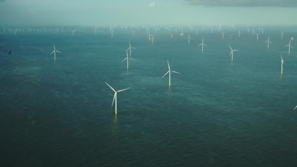 Vista Aérea Dos Países Baixos Domburg Borselle Parque Eólico Mar — Vídeo de Stock