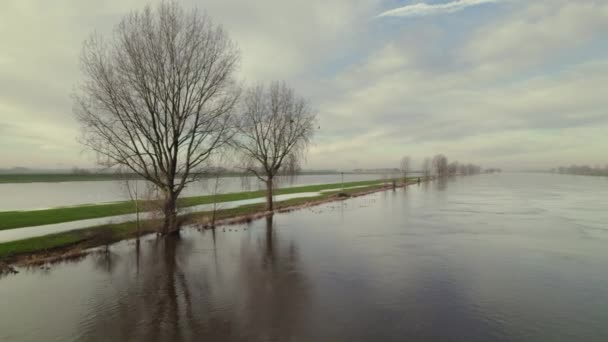 荷兰Noord Brabant被洪水淹没的牧场的空中景观 — 图库视频影像