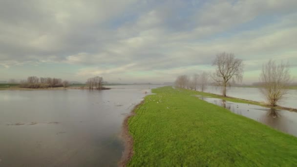 Vista Aérea Zona Del Pólder Inundado Noord Brabant Países Bajos — Vídeos de Stock