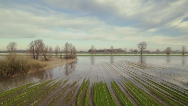 Flygfoto Över Översvämmat Polderområde Noord Brabant Nederländerna — Stockvideo