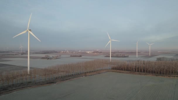 Aerial View Frozen Polder Landscape Wind Turbines Hollandiában — Stock videók
