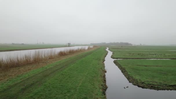 Canales Zanjas Pólderes Bleskensgraaf Países Bajos — Vídeo de stock