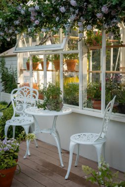  Zarif beyaz sandalyelerin ve yemyeşil ve çiçeklerle süslenmiş bir masanın bulunduğu rahat bir sera oturma alanı. Terra cotta tencereleri bahçe ortamını güzelleştirir.