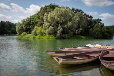Yeşillik bir parktaki patikada beyaz ahşap bir bank. Sahne, canlı ağaçlar, çimenler ve uzak bir köprü tarafından çerçevelenmiş güneşli bir günde huzurlu bir anı yakalar.