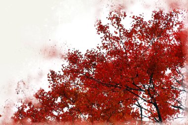 Soyut renkli ağaç ve şehirde suluboya resim arkaplanı üzerine bir bina.