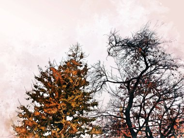 Soyut renkli ağaç ve şehirde suluboya resim arkaplanındaki bina.