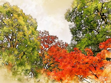 Ormanda suluboya resim arka planında soyut renkli ağaç dalları.