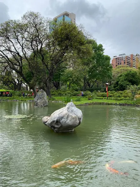 Japanese Garden Som Ligger Buenos Aires Offentlig Park Buenos Aires — Stockfoto