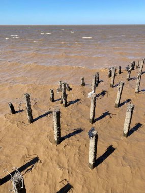Arjantin 'in başkenti Buenos Aires' ten La Plata nehir sistemi. La Plata 'ya kil taşıyan portakal suyu.