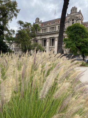 Buenos Aires 'teki Plaza Lavalle' den (bir meydan) bir sokak manzarası. Merkezdeki eski tarihi binaların güzel manzarası.