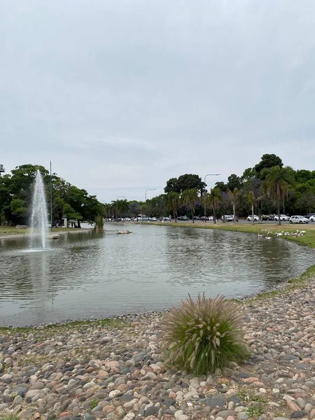 Rosornas Trädgård Palermo Distriktet Buenos Aires Argentina Den Offentliga Parken — Stockfoto