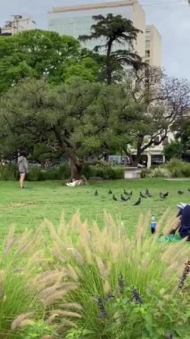Buenos Aires 'teki Plaza Lavalle' den (bir meydan) bir sokak manzarası. Merkezdeki eski tarihi binaların güzel manzarası.