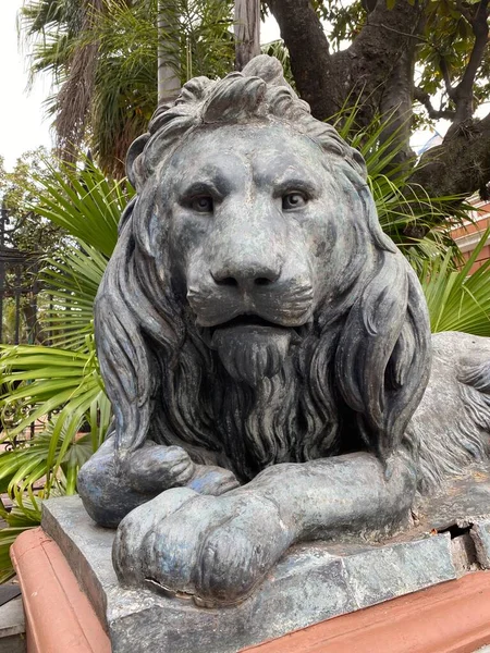Musée Historique National Buenos Aires Argentine Bâtiment Musée Statue Lion — Photo
