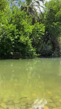 Güzel göl manzarası, Buenos Aires 'te parktaki ağaçlar, doğa, güneşli bir günde geleneksel kültürel mimari ve mavi gökyüzü, Arjantin