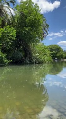Güzel göl manzarası, Buenos Aires 'te parktaki ağaçlar, doğa, güneşli bir günde geleneksel kültürel mimari ve mavi gökyüzü, Arjantin