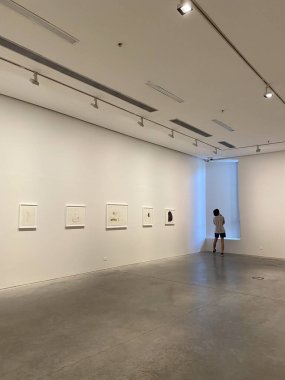 Buenos Aires, Arjantin - Buenos Aires Modern Sanat Müzesi, arte de buenos aires