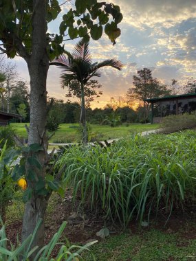 Arjantin, Iguazu 'daki üç ülkenin sınırı. Güzel manzaralı ve yüzme havuzlu bir orman oteli..