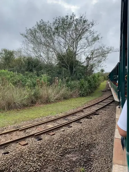 IGUAZU FALls, ARGENTINA - Ziyaretçiler Iguazu Şelalesi 'ne Iguazu Ulusal Parkı' ndaki ekolojik bir orman treniyle gidiyorlar.