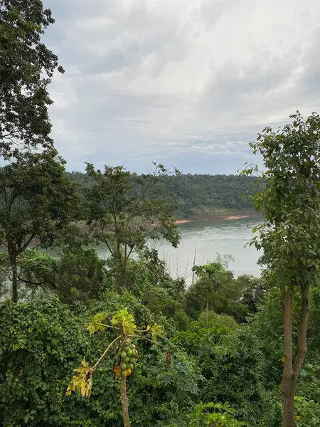 Arjantin, Iguazu 'daki üç ülkenin sınırı. Güzel manzaralı ve yüzme havuzlu bir orman oteli..