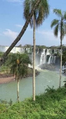 Iguazu Şelaleleri, Şelaleler, Şelaleler, Şelaleler, Ormanlar Iguazu Arjantin, UNESCO 'nun Dünya Mirası Bölgesi.