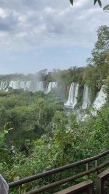 Iguazu Şelaleleri, Şelaleler, Şelaleler, Şelaleler, Ormanlar Iguazu Arjantin, UNESCO 'nun Dünya Mirası Bölgesi.