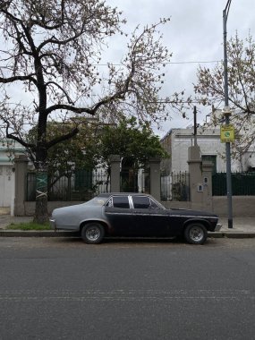 Buenos Aires, Arjantin 'de güzel mimarisi olan bir bina. Eklektik stil mimarisi ve hareketli şehir hayatıyla tanınır..