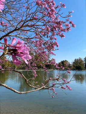 Şehir merkezindeki güzel manzaralı parklar, hafta sonu piknikleri için popüler olan ekolojik rezervler, yürüyüşler... 