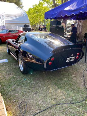 Arjantin: Gündüz araba fuarı, San Isidro otoklasika, Buenos Aires.