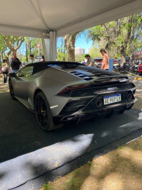 Arjantin: Gündüz araba fuarı, San Isidro otoklasika, Buenos Aires.