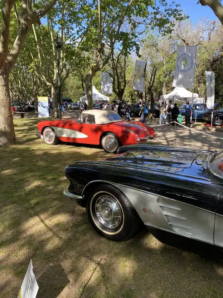 Arjantin: Gündüz araba fuarı, San Isidro otoklasika, Buenos Aires.