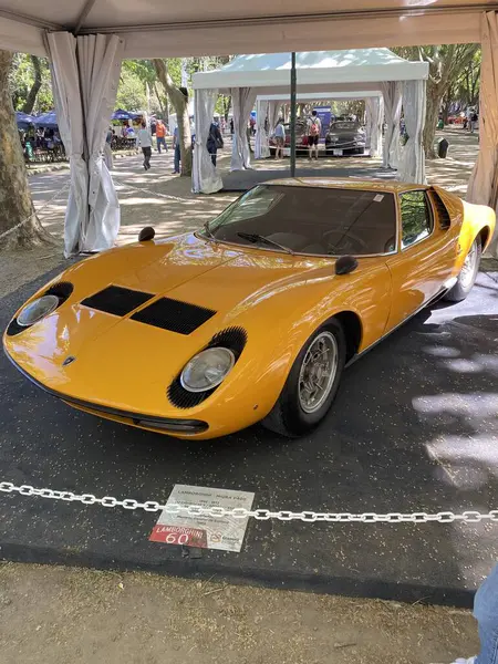 Arjantin: Gündüz araba fuarı, San Isidro otoklasika, Buenos Aires.