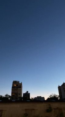 Günbatımından sonra Buenos Aires 'te büyük yusufçuklar parkta uçar.