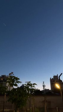 Günbatımından sonra Buenos Aires 'te büyük yusufçuklar parkta uçar.
