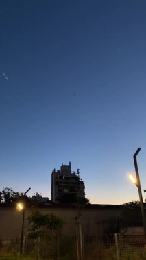 Günbatımından sonra Buenos Aires 'te büyük yusufçuklar parkta uçar.