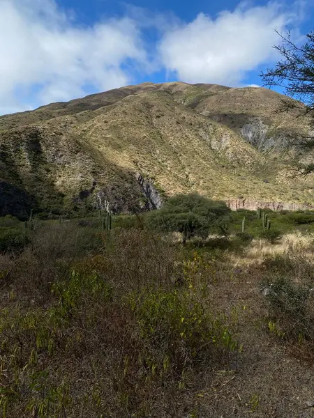 Arjantin. Doğal manzara, çöl, kurak yollar..