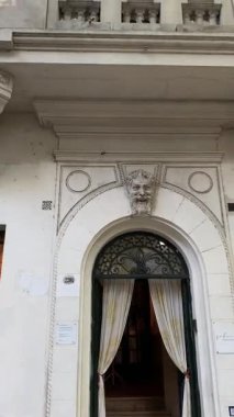 Park Buenos Aires Arjantin 'deki ağaç dallarındaki kuş.