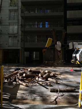 Buenos Aires 'te ağaç kesimi, Arjantin, güzelleştirme