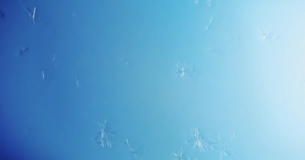Winterfenster Frost Zeitraffer Gefrorener Kristalle Oder Sich Verlangsamendes Frostmuster Auf — Stockvideo