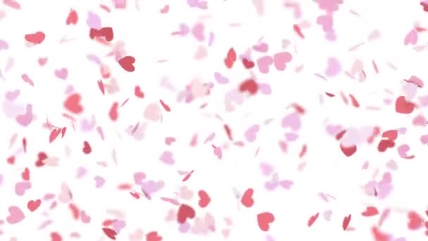 Red Pink Hearts Falling — Stock Video
