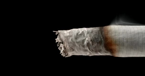 Close End Lit Cigarette Slowly Burning Turning Ash — Vídeos de Stock
