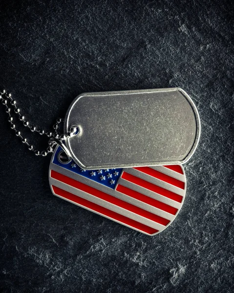 Étiquettes Chien Soldat Militaire Américain Rugueuses Portées Avec Espace Vide — Photo