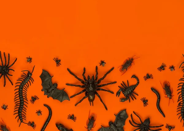 Zwarte Halloween Griezelige Kruipende Insecten Spinnen Oranje Achtergrond Met Lege — Stockfoto