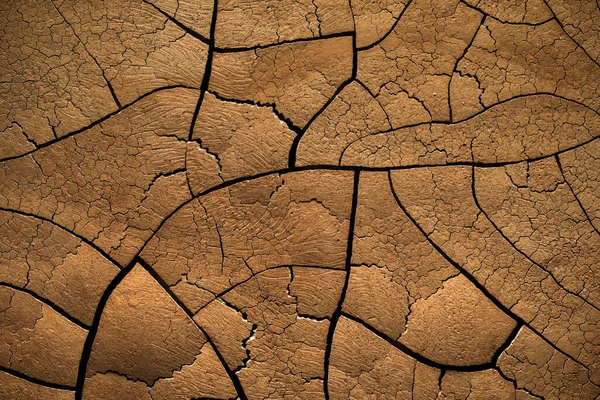 Dettagliato Terreno Incrinato Che Mostra Una Terra Desertica Asciutta Bruciata — Foto Stock