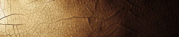 Szczegółowa Popękana Gleba Ukazująca Suchy Pustynny Ląd Spalony Upale Powodujący — Zdjęcie stockowe